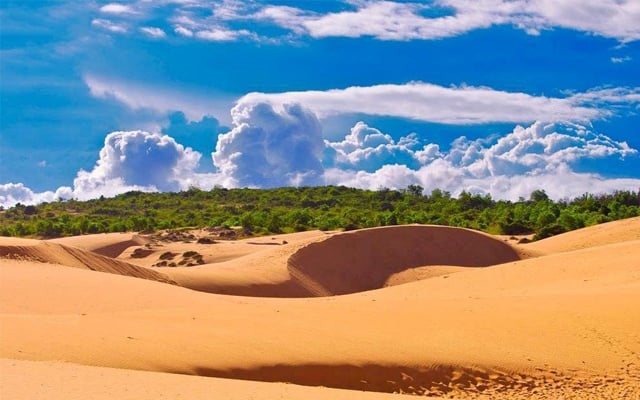 Kham Pha Ve Dep Kho Cuong Cua Doi Cat Trong Chuyen Du Lich Mui Ne Phan Thiet