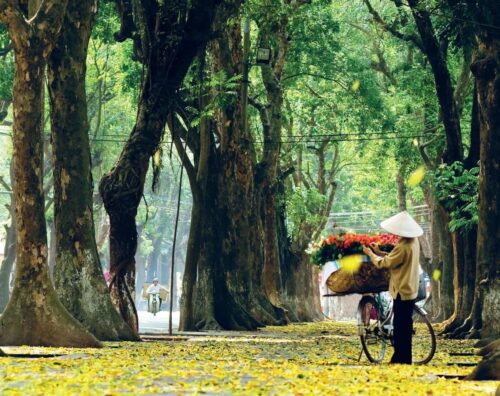 Pho Phan Dinh Phung