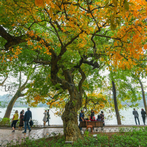 Di Du Lich Ha Noi Mua Nao Dep Nhat Trong Nam 5f579402574e3