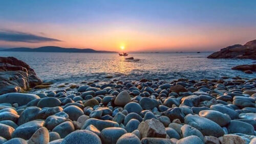 10 Dia Diem Du Lich Can Gio Dep Hap Dan Cho Ban Tha Ho Check In 202201151444532892