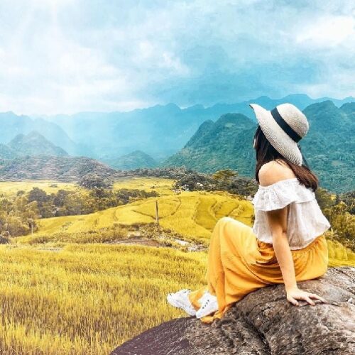 Du Lịch Hà Giang Mùa Lúa Chín