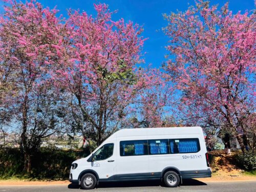 Thuê xe 18 chỗ cho tour du lịch Phù hợp cho đoàn từ 10–18 người