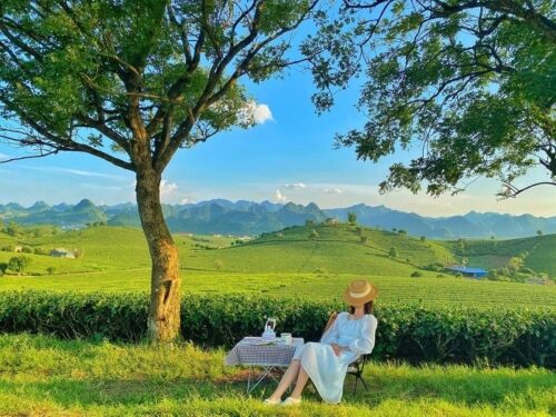 Tham Quan Mộc Châu