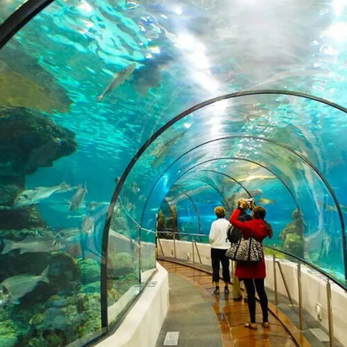 Khu Du Lịch Suối Tiên