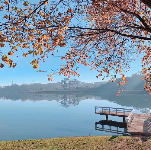 Hồ Xuân Hương