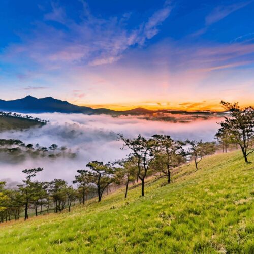 Cảnh đẹp Đl