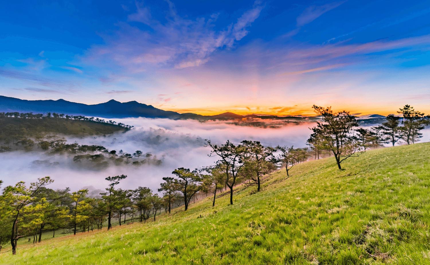 Cảnh đẹp Đl