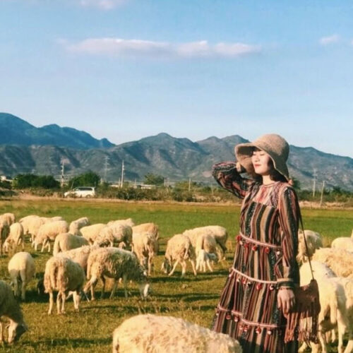 đồi Cừu An Hoà